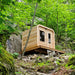 Canadian Timber Collection Luna Sauna In Nature